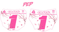 Cherry Blossom ODI and Motocutz Decal Series
